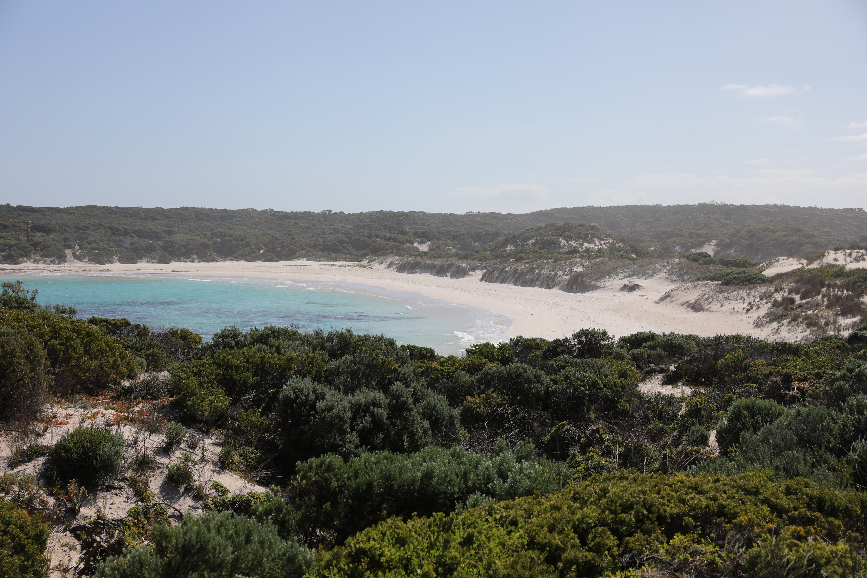 2019 09 30 14 15 55 Canon EOS 5D Mark IV 0010